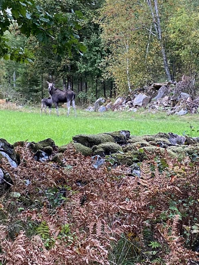 Naturnaera Hus Utanfoer Reftele Naerhet Till Isaberg Och High Chaparral Villa Eksteriør billede