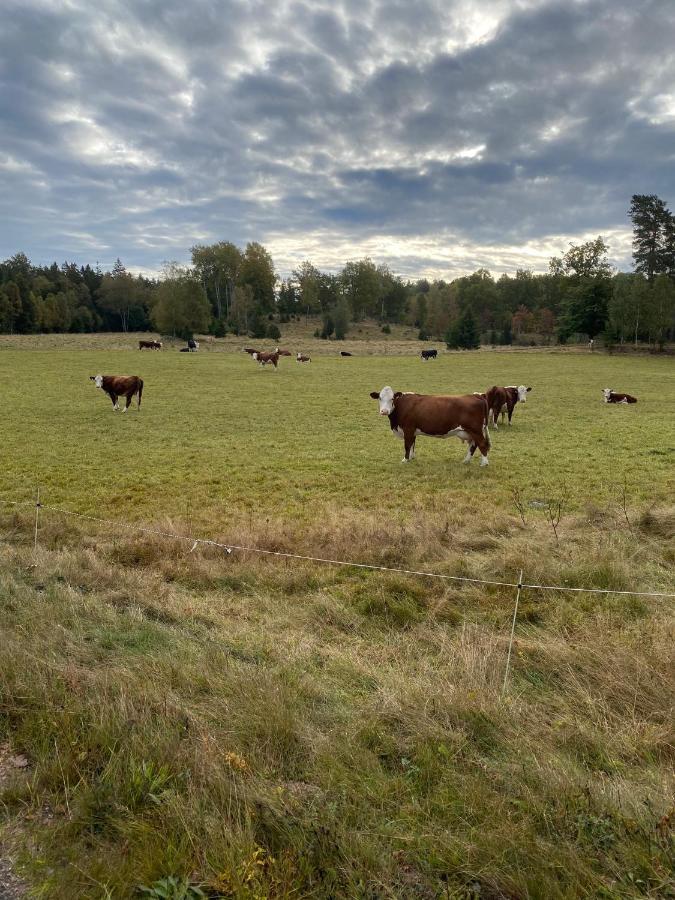 Naturnaera Hus Utanfoer Reftele Naerhet Till Isaberg Och High Chaparral Villa Eksteriør billede